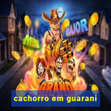 cachorro em guarani